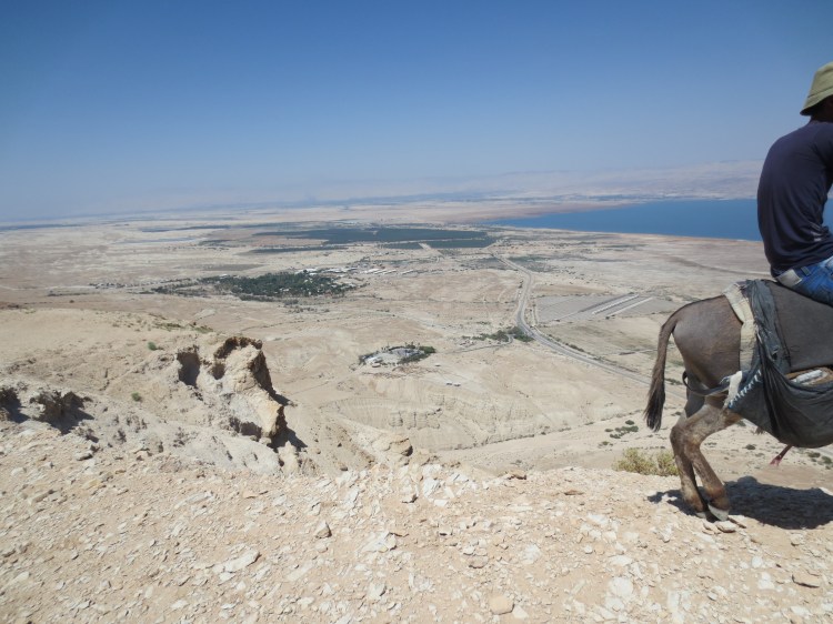 High Above Qumran -- that's the visitor's center in the middle and some of the caves just beneath it